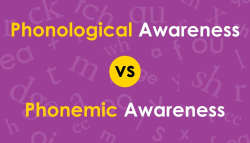 Phonological vs Phonemic Awareness