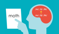 What is Phonemic Awareness